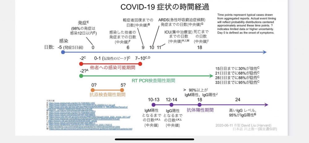 発症 期間 コロナ 新型コロナの潜伏期間は？うつる期間は？うつるタイミングは？をまとめました｜西馬込あくつ耳鼻咽喉科｜東京都大田区の耳鼻科・アレルギー科